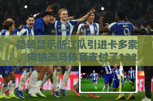 德转显示浙江队引进卡多索，向纳杰马体育支付了132万欧元转会费