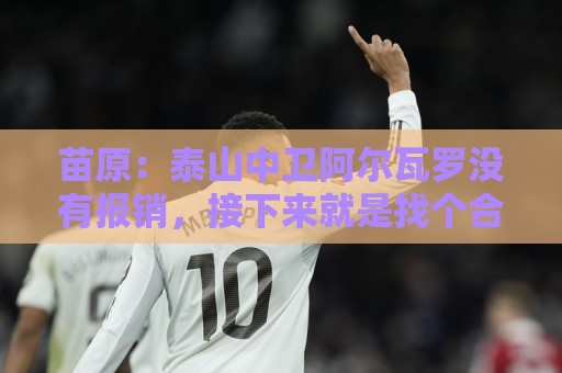 苗原：泰山中卫阿尔瓦罗没有报销，接下来就是找个合适的机会复出