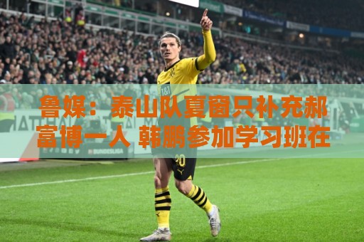 鲁媒：泰山队夏窗只补充郝富博一人 韩鹏参加学习班在间歇期