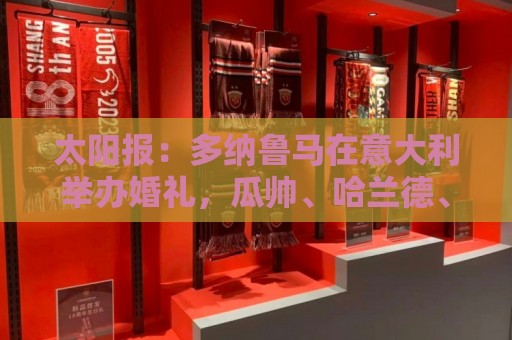 太阳报：多纳鲁马在意大利举办婚礼，瓜帅、哈兰德、马尔蒂尼出席