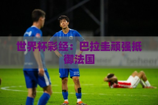 世界杯彩经：巴拉圭顽强抵御法国