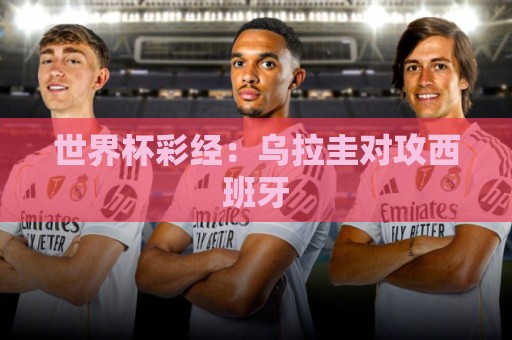 世界杯彩经：乌拉圭对攻西班牙