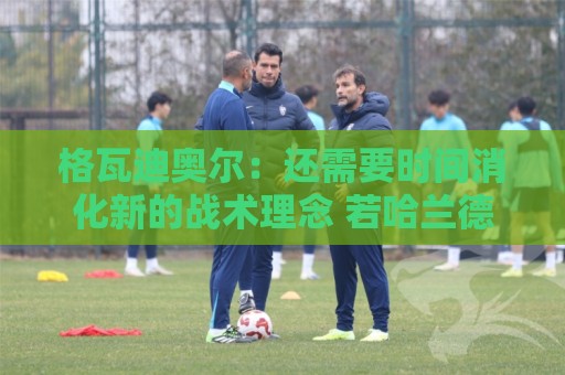 格瓦迪奥尔：还需要时间消化新的战术理念 若哈兰德能来会更好玩