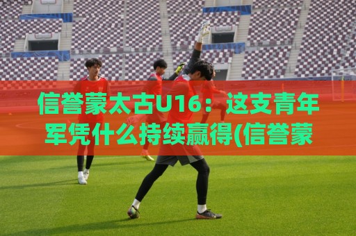 信誉蒙太古U16：这支青年军凭什么持续赢得(信誉蒙太古U16)关注？【信誉蒙太古U16】成长逻辑🏯网上热门体育网无延迟4K俱乐部中水入口无解说