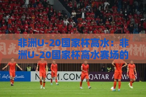非洲U-20国家杯高水：非洲U-20国家杯高水赛场的青春风暴与观赛门道，非洲U-20国家杯高水为何值得熬夜守候🏯今日最新外围体育网贴水在线原声解说降盘APP网址