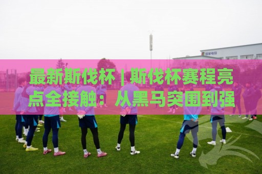 最新斯伐杯 | 斯伐杯赛程亮点全接触：从黑马突围到强强对话，最新斯伐杯看点都在这🏯线上十大最稳堵球网在线看评级时间推荐直播源不卡顿