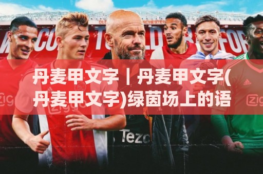 丹麦甲文字｜丹麦甲文字(丹麦甲文字)绿茵场上的语言密码：从球场标语到球迷文化的文字魅力🏯网上热门压球网半场波胆登录交流攻略排名回放