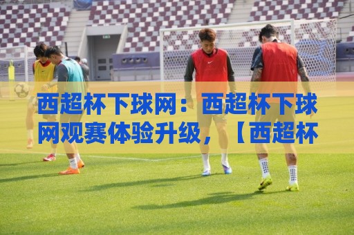 西超杯下球网：西超杯下球网观赛体验升级，【西超杯下球网】背后那些值得留意的细节🏯网上热门投球网排名回放无广告全场录像公司比分