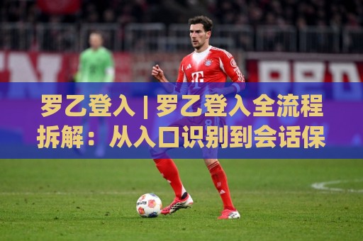 罗乙登入 | 罗乙登入全流程拆解：从入口识别到会话保持的实战思路🏯网上热门比球网回放无广告全场录像公司比分下盘