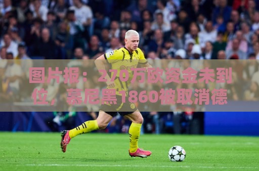 图片报：270万欧资金未到位，慕尼黑1860被取消德丙参赛资格