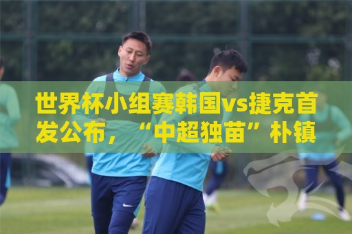 世界杯小组赛韩国vs捷克首发公布，“中超独苗”朴镇燮替补待命